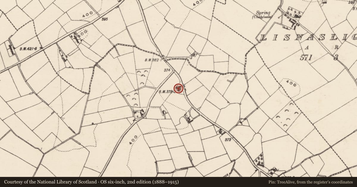 Ordnance Survey six-inch map, 2nd edition (1888–1915) covering the location of 25 Sentry Box Road, Ballynafoy, Armagh City, Banbridge and Craigavon, with a pin at the register's coordinates
