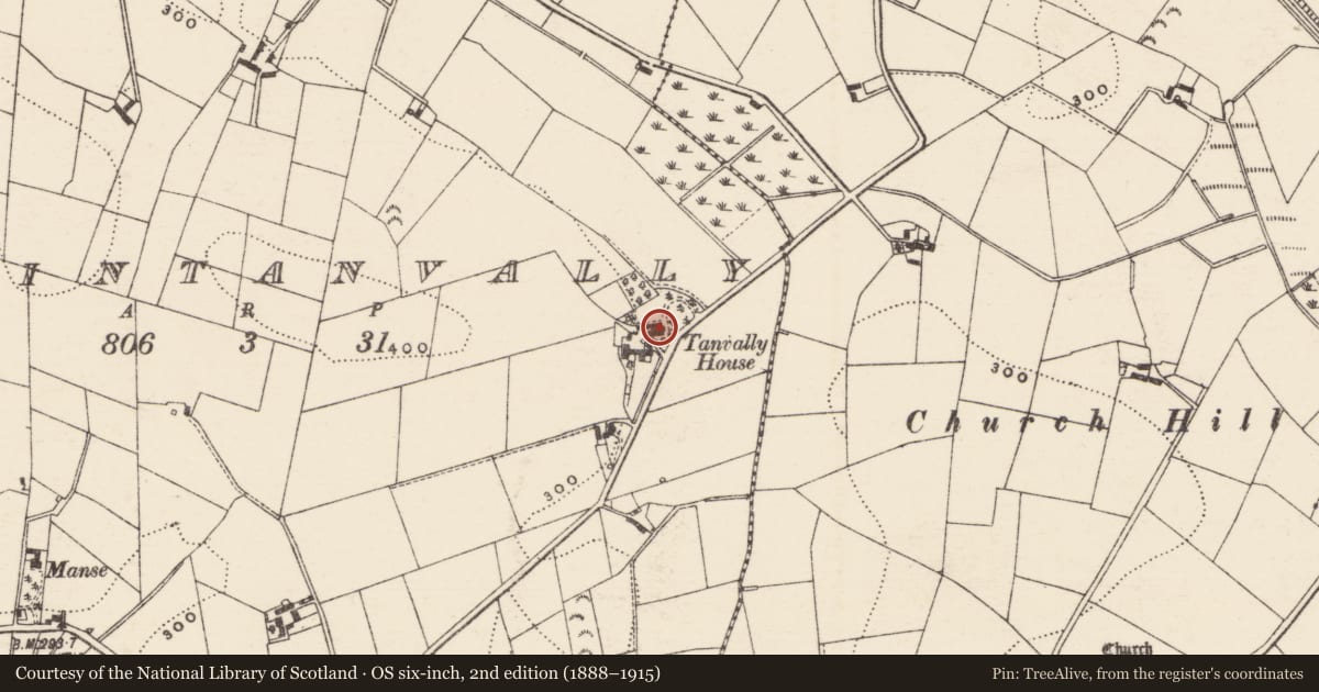 Ordnance Survey six-inch map, 2nd edition (1888–1915) covering the location of Tanvalley House, Armagh City, Banbridge and Craigavon, with a pin at the register's coordinates