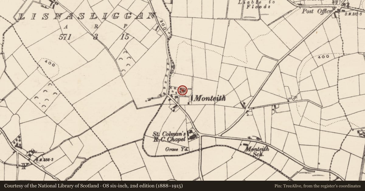 Ordnance Survey six-inch map, 2nd edition (1888–1915) covering the location of Monteith, Tullintanvally, Armagh City, Banbridge and Craigavon, with a pin at the register's coordinates