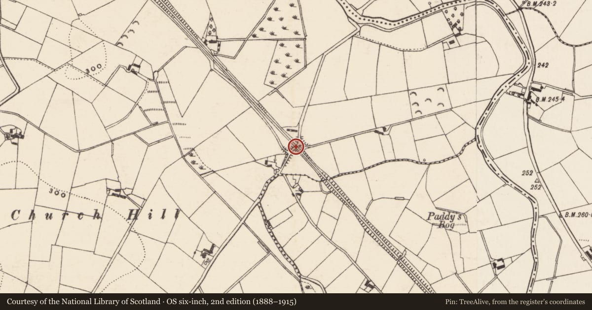 Ordnance Survey six-inch map, 2nd edition (1888–1915) covering the location of Railway Bridge, Ardbrin, Armagh City, Banbridge and Craigavon, with a pin at the register's coordinates