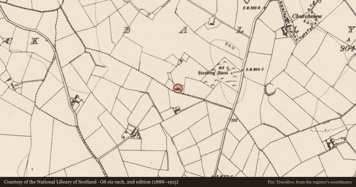Ordnance Survey six-inch map, 2nd edition (1888–1915) covering the location of 31 Ballynafoy Road, Armagh City, Banbridge and Craigavon, with a pin at the register's coordinates