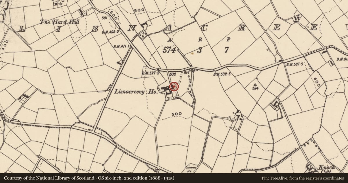 Ordnance Survey six-inch map, 2nd edition (1888–1915) covering the location of Lisnacreevey House, Armagh City, Banbridge and Craigavon, with a pin at the register's coordinates