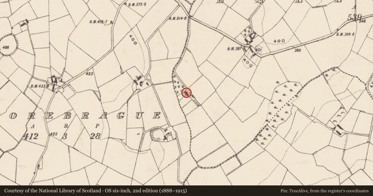Ordnance Survey six-inch map, 2nd edition (1888–1915) covering the location of 28 Ballynanny Road, Ballynafoy, Armagh City, Banbridge and Craigavon, with a pin at the register's coordinates