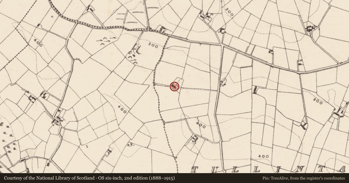 Ordnance Survey six-inch map, 2nd edition (1888–1915) covering the location of 59 Circular Road, Tullintanvalley, Armagh City, Banbridge and Craigavon, with a pin at the register's coordinates