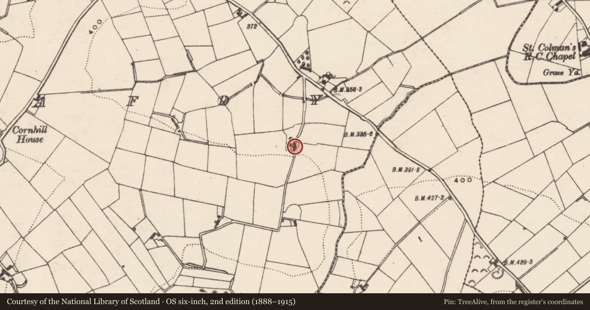 Ordnance Survey six-inch map, 2nd edition (1888–1915) covering the location of 35-37 Sentry Box Road, Ballynafoy, Armagh City, Banbridge and Craigavon, with a pin at the register's coordinates