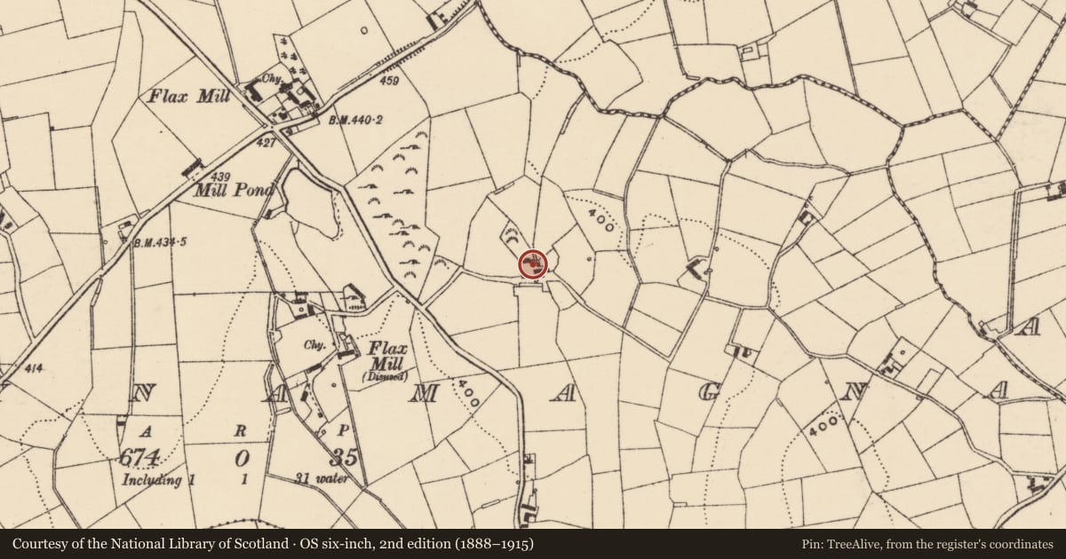 Ordnance Survey six-inch map, 2nd edition (1888–1915) covering the location of 29 Ballynamagna Road, Armagh City, Banbridge and Craigavon, with a pin at the register's coordinates