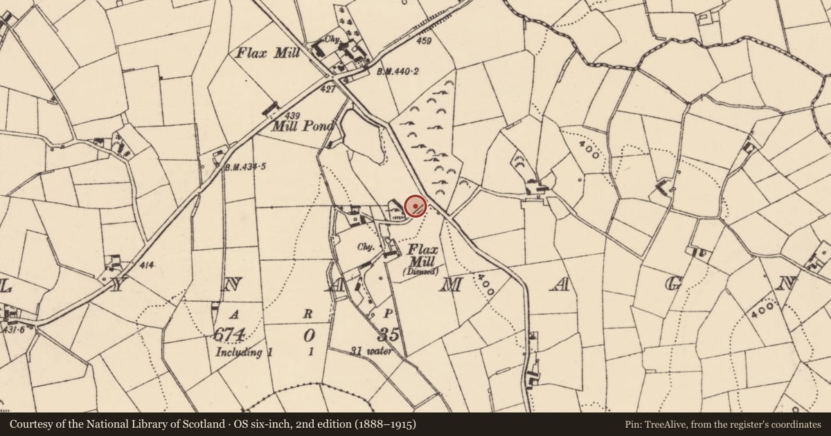 Ordnance Survey six-inch map, 2nd edition (1888–1915) covering the location of 34 Ballynamagna Road, Armagh City, Banbridge and Craigavon, with a pin at the register's coordinates