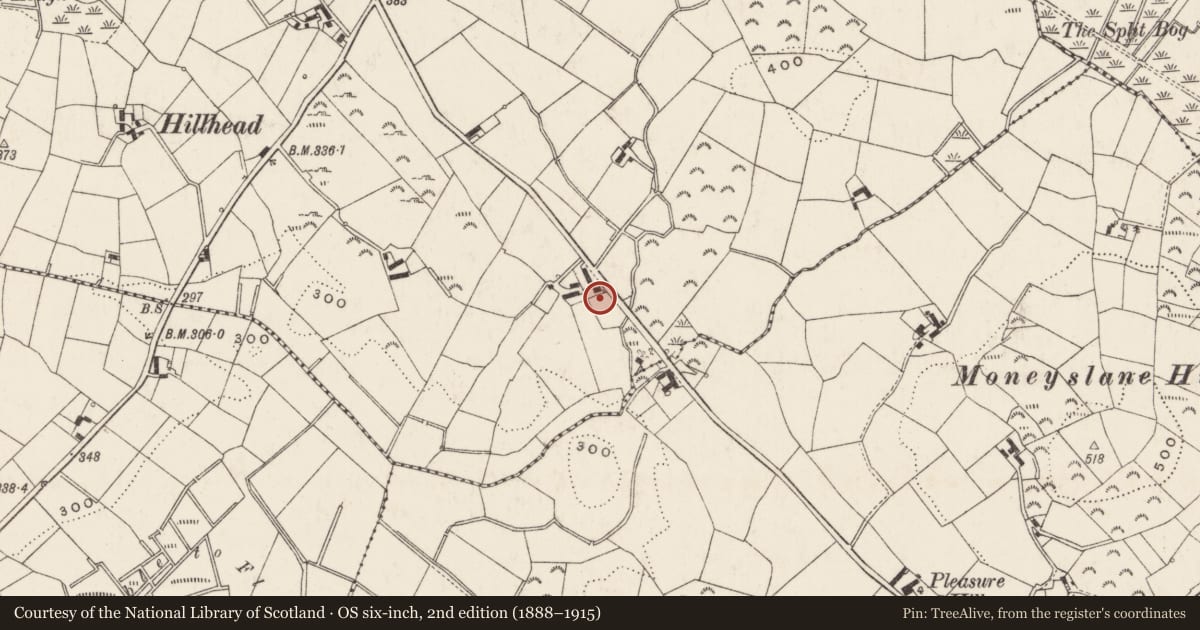 Ordnance Survey six-inch map, 2nd edition (1888–1915) covering the location of 36 Mill Road, Armagh City, Banbridge and Craigavon, with a pin at the register's coordinates