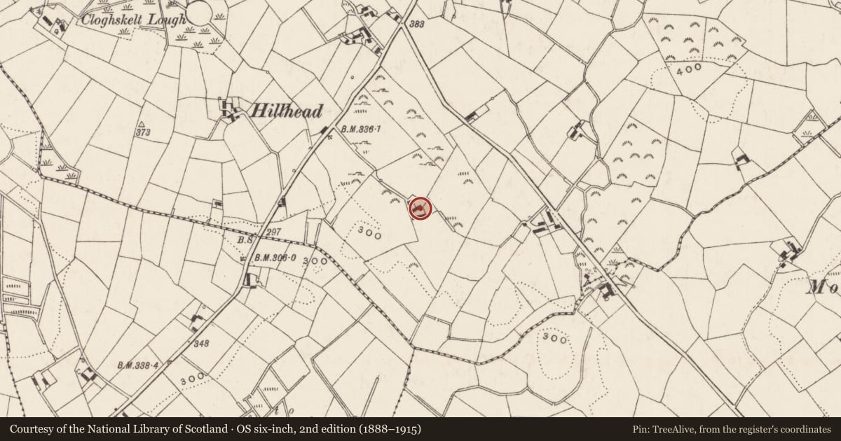 Ordnance Survey six-inch map, 2nd edition (1888–1915) covering the location of 25 Drumgooland Road, Armagh City, Banbridge and Craigavon, with a pin at the register's coordinates
