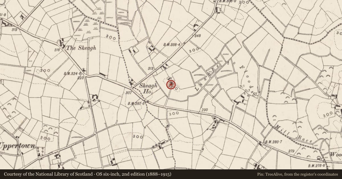 Ordnance Survey six-inch map, 2nd edition (1888–1915) covering the location of 88 Katesbridge Road, Armagh City, Banbridge and Craigavon, with a pin at the register's coordinates
