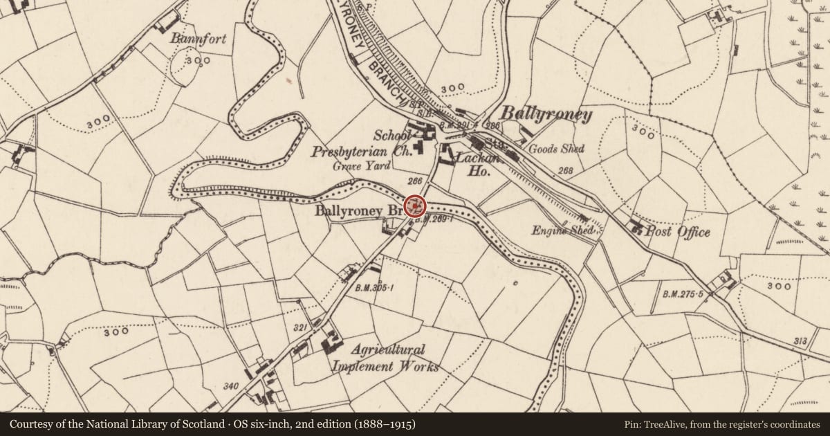 Ordnance Survey six-inch map, 2nd edition (1888–1915) covering the location of Ballyroney Bridge, Lackan Tirkelly, Armagh City, Banbridge and Craigavon, with a pin at the register's coordinates