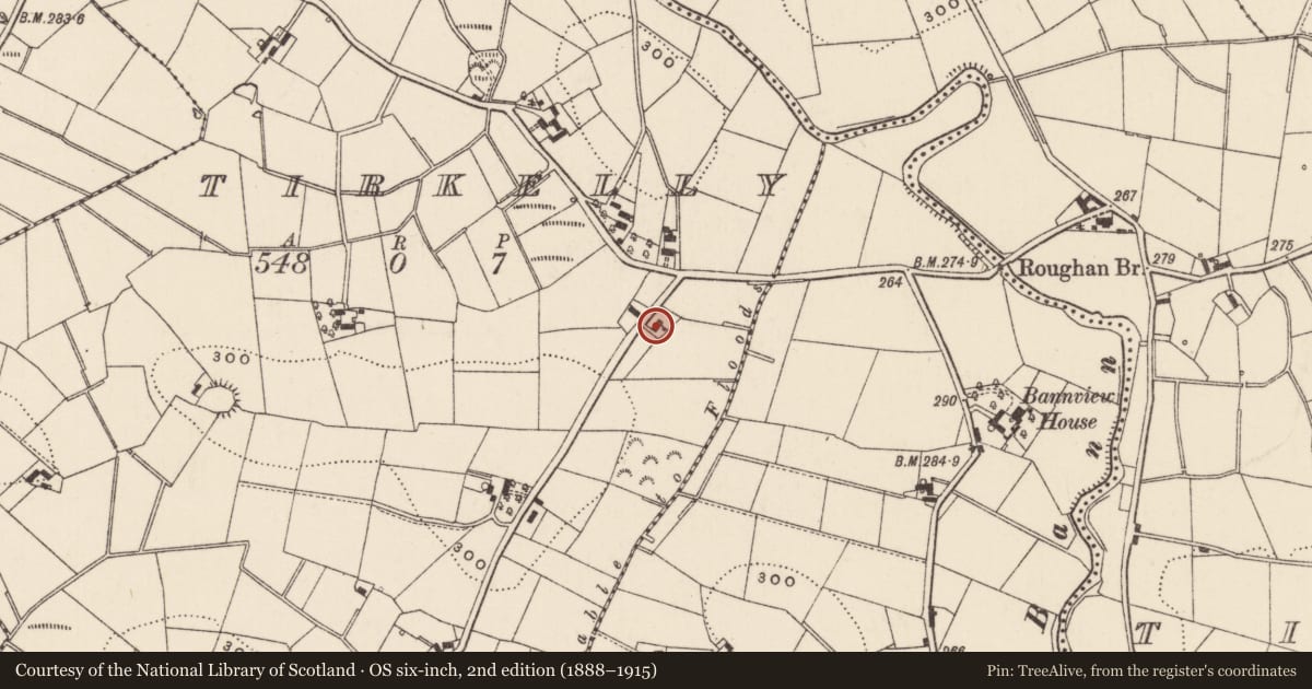Ordnance Survey six-inch map, 2nd edition (1888–1915) covering the location of 71 Drumarkin Road, Tirkelly, Armagh City, Banbridge and Craigavon, with a pin at the register's coordinates