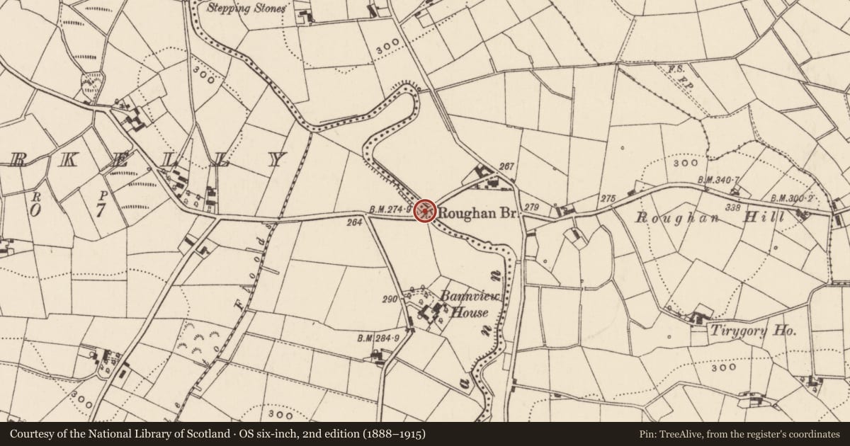 Ordnance Survey six-inch map, 2nd edition (1888–1915) covering the location of Roughan Bridge, Drumdreenagh Tirygory, Armagh City, Banbridge and Craigavon, with a pin at the register's coordinates
