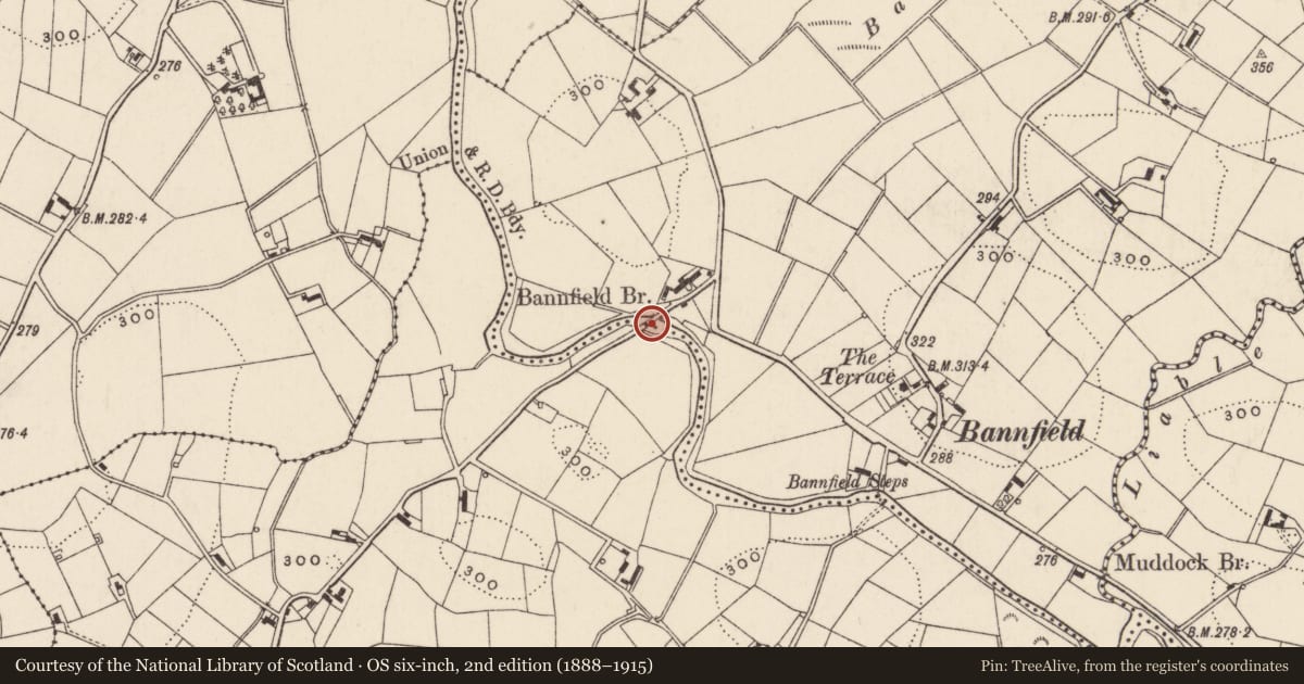 Ordnance Survey six-inch map, 2nd edition (1888–1915) covering the location of Bannfield Bridge, Moneygore Lisnisk, Armagh City, Banbridge and Craigavon, with a pin at the register's coordinates