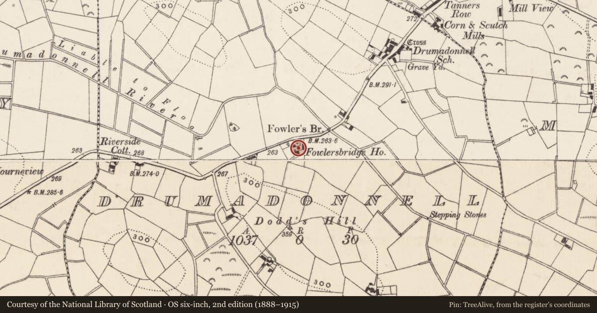 Ordnance Survey six-inch map, 2nd edition (1888–1915) covering the location of Fowlersbridge House, Drumadonnell, Armagh City, Banbridge and Craigavon, with a pin at the register's coordinates