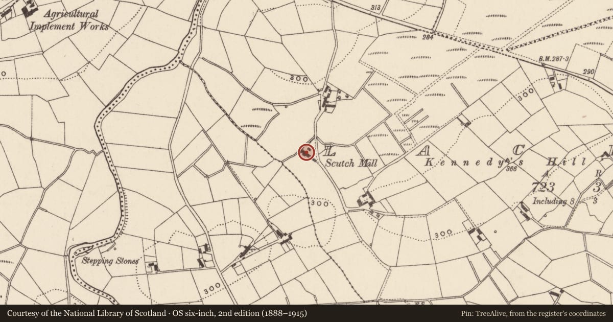 Ordnance Survey six-inch map, 2nd edition (1888–1915) covering the location of Flax Mill, Lackan, Armagh City, Banbridge and Craigavon, with a pin at the register's coordinates
