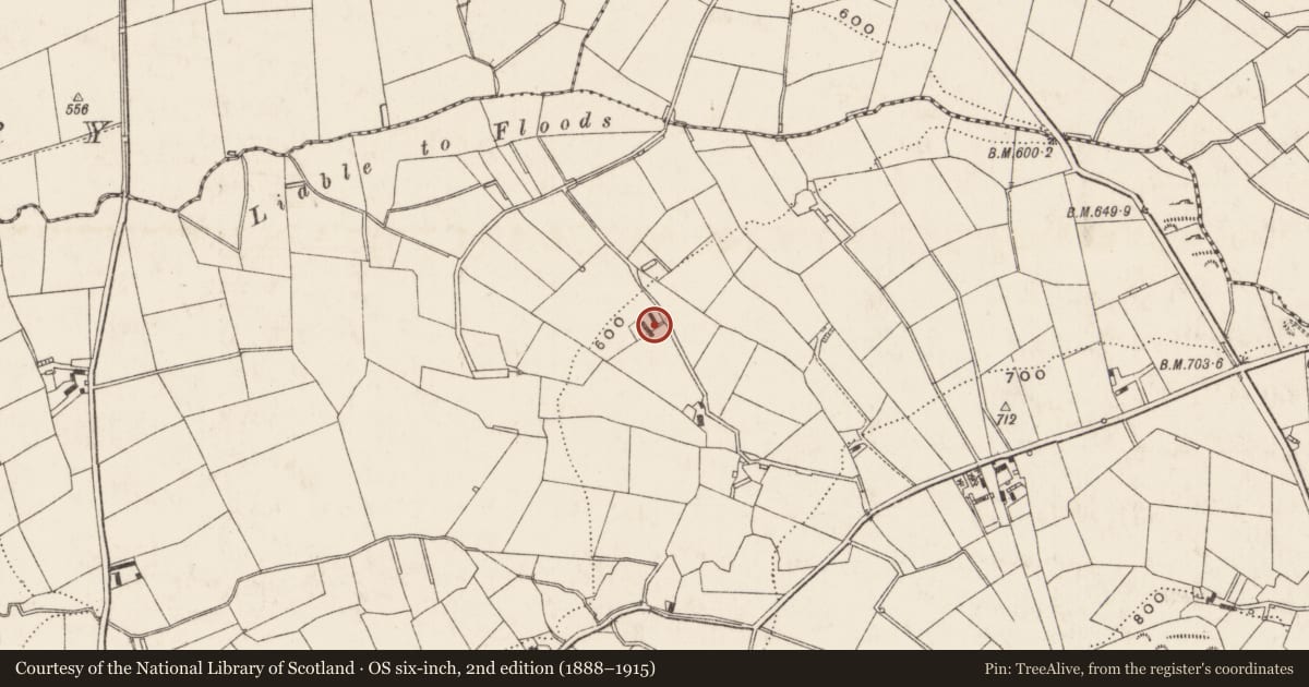 Ordnance Survey six-inch map, 2nd edition (1888–1915) covering the location of 39 Ringsend Road, Deehommed, Newry, Mourne and Down, with a pin at the register's coordinates