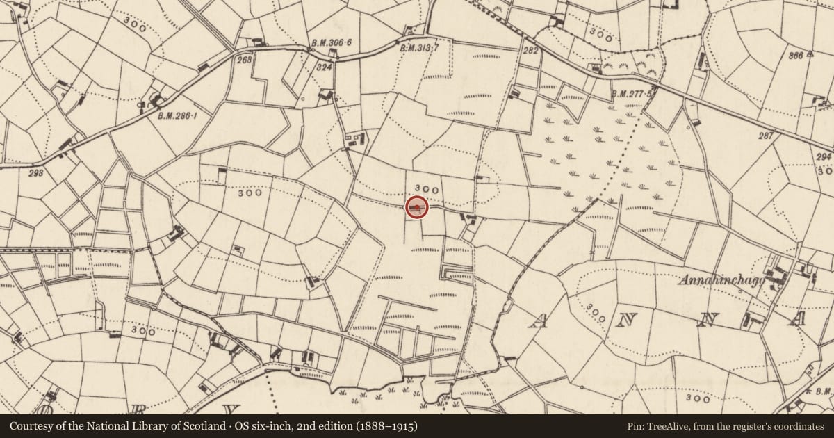 Ordnance Survey six-inch map, 2nd edition (1888–1915) covering the location of 87 Lackan Road, Armagh City, Banbridge and Craigavon, with a pin at the register's coordinates