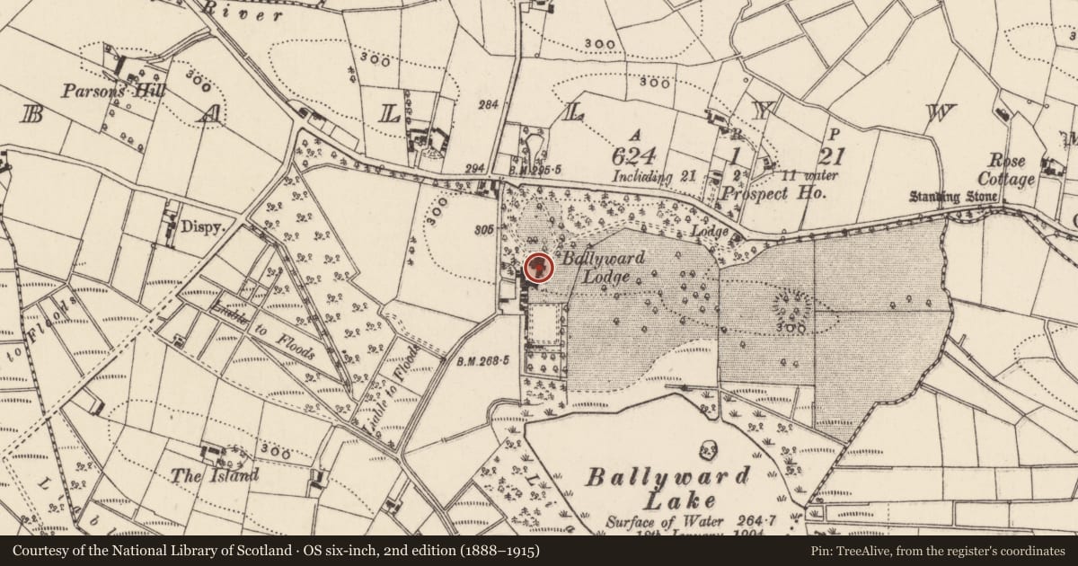 Ordnance Survey six-inch map, 2nd edition (1888–1915) covering the location of Ballyward Lodge, Newry, Mourne and Down, with a pin at the register's coordinates