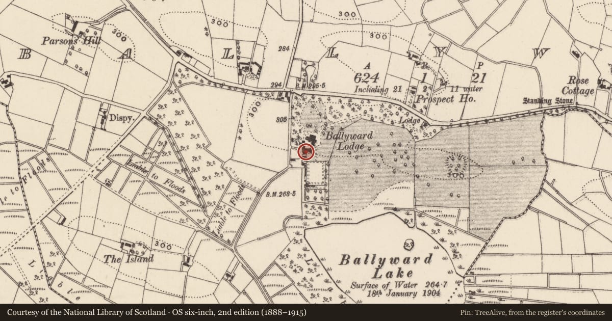 Ordnance Survey six-inch map, 2nd edition (1888–1915) covering the location of Outbuildings at Ballyward Lodge and Estate, Newry, Mourne and Down, with a pin at the register's coordinates