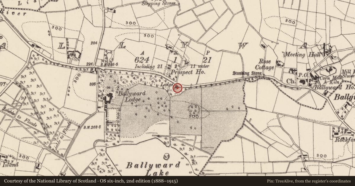 Ordnance Survey six-inch map, 2nd edition (1888–1915) covering the location of Gate Lodge and Gatescreen, Ballyward, Newry, Mourne and Down, with a pin at the register's coordinates