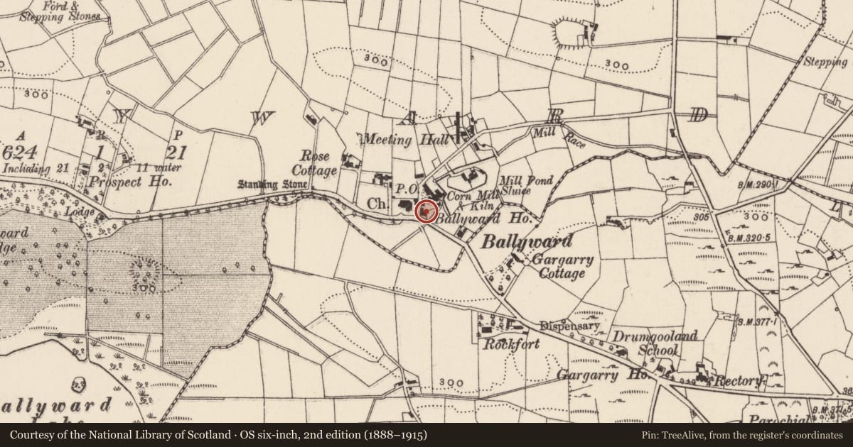 Ordnance Survey six-inch map, 2nd edition (1888–1915) covering the location of Ballyward House, Newry, Mourne and Down, with a pin at the register's coordinates