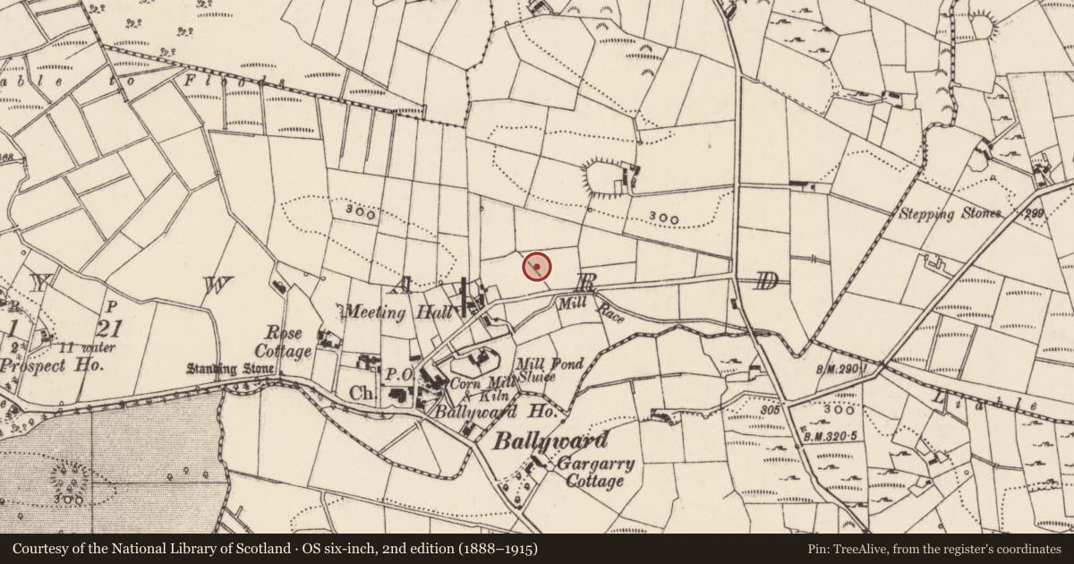 Ordnance Survey six-inch map, 2nd edition (1888–1915) covering the location of Waiting Room, Ballyward, Newry, Mourne and Down, with a pin at the register's coordinates