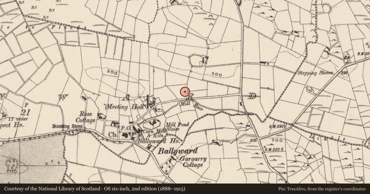 Ordnance Survey six-inch map, 2nd edition (1888–1915) covering the location of Signalman's house, potato shed and small waiting room at Ballyward railway station, Newry, Mourne and Down, with a pin at the register's coordinates