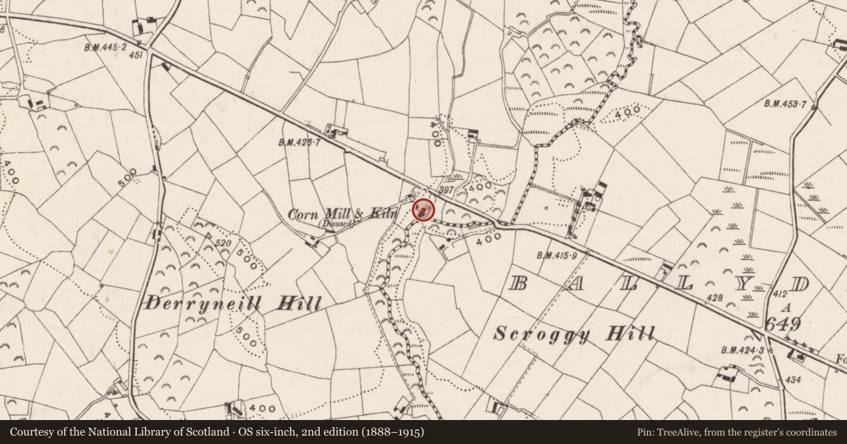 Ordnance Survey six-inch map, 2nd edition (1888–1915) covering the location of 21 Ballydrumman Road, Newry, Mourne and Down, with a pin at the register's coordinates