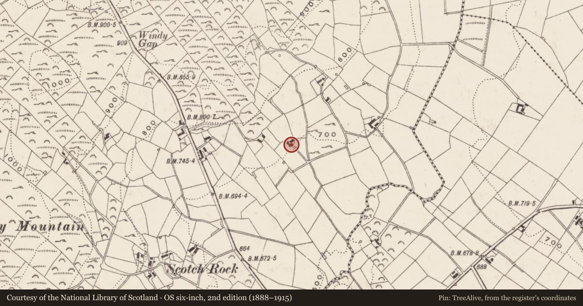 Ordnance Survey six-inch map, 2nd edition (1888–1915) covering the location of 49 Legananny Hall Road, Slievenaboley, Newry, Mourne and Down, with a pin at the register's coordinates