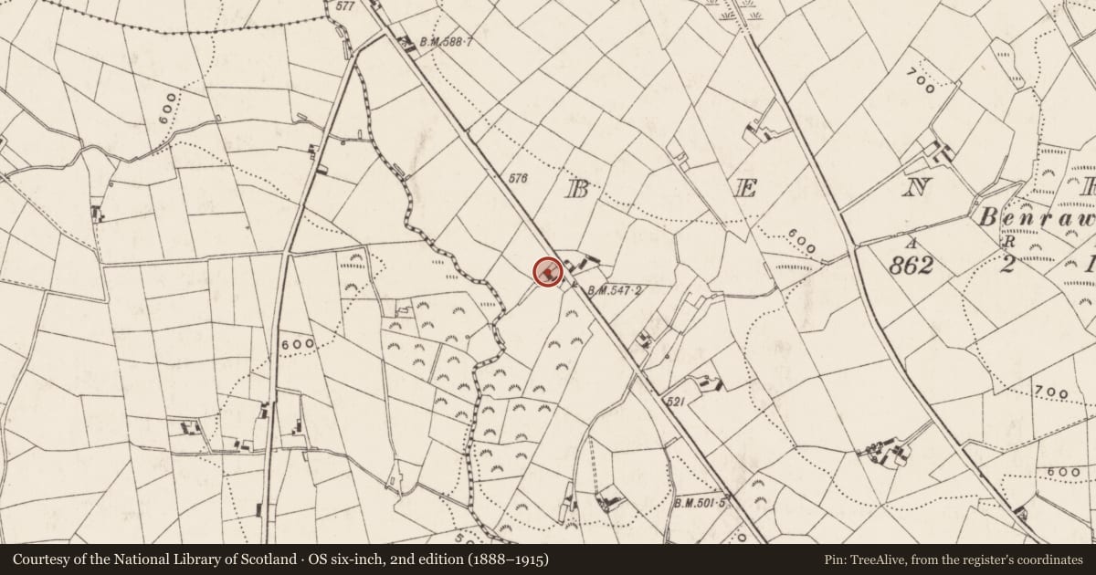Ordnance Survey six-inch map, 2nd edition (1888–1915) covering the location of 64 Dromara Road, Benraw, Newry, Mourne and Down, with a pin at the register's coordinates