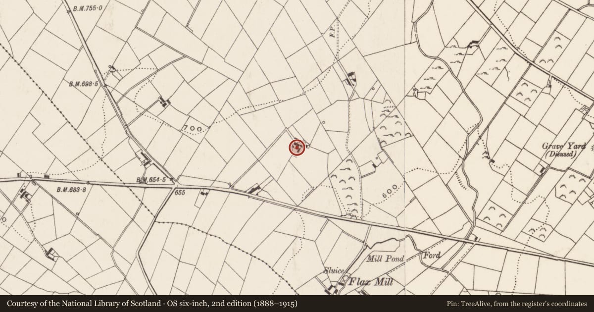 Ordnance Survey six-inch map, 2nd edition (1888–1915) covering the location of The Cottage, Lagananny, Newry, Mourne and Down, with a pin at the register's coordinates