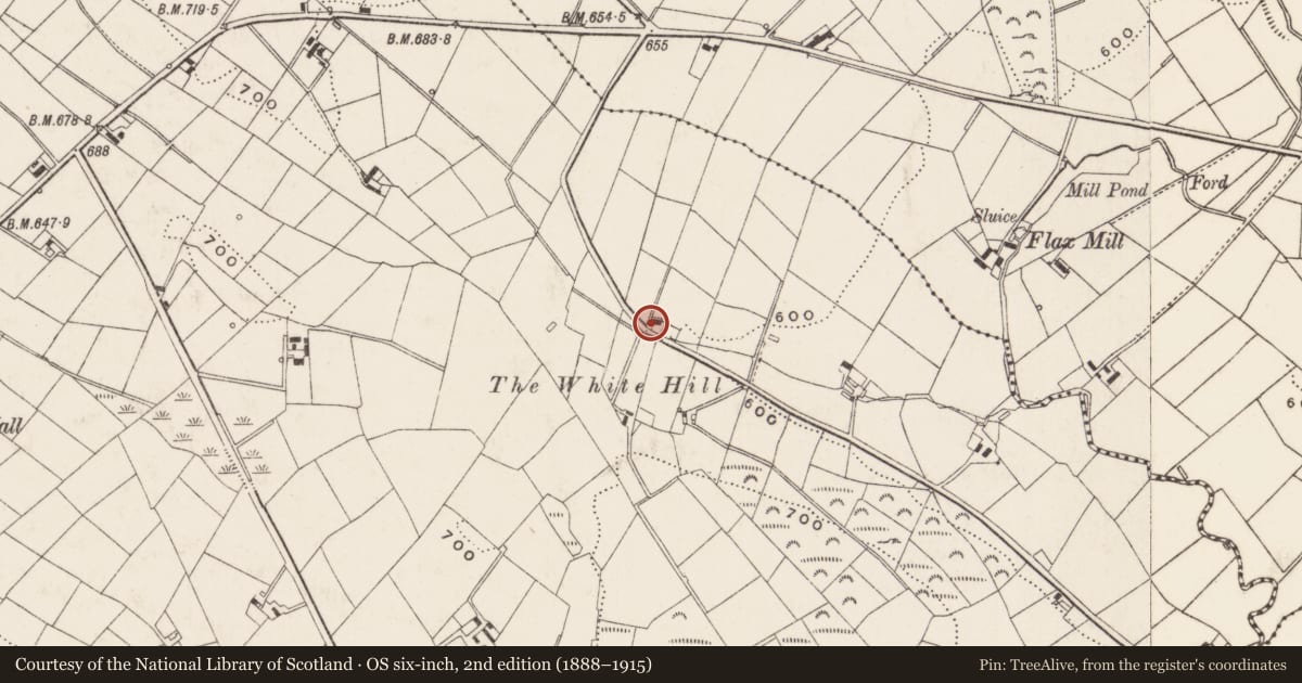 Ordnance Survey six-inch map, 2nd edition (1888–1915) covering the location of 27 Whitehill Road, Benraw, Newry, Mourne and Down, with a pin at the register's coordinates
