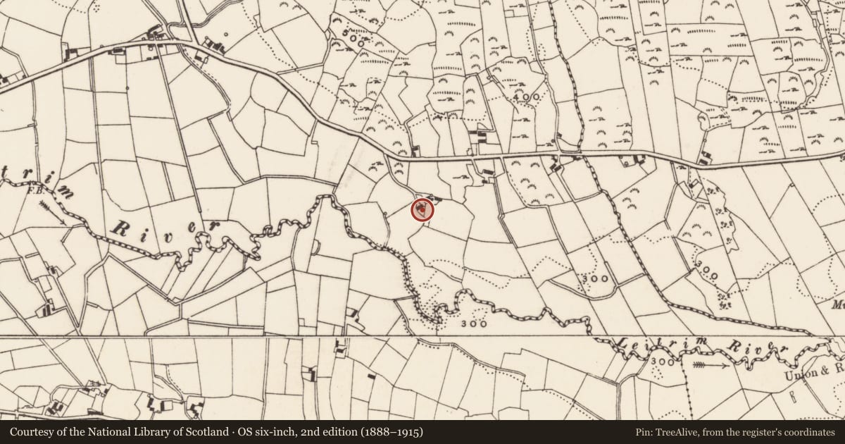 Ordnance Survey six-inch map, 2nd edition (1888–1915) covering the location of 45 Backaderry Road, Ballymaginaghy, Newry, Mourne and Down, with a pin at the register's coordinates