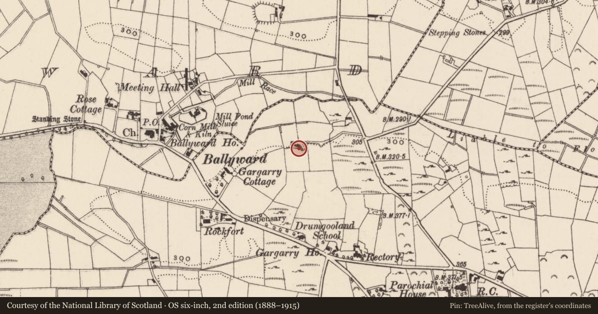 Ordnance Survey six-inch map, 2nd edition (1888–1915) covering the location of 6 Derryneill Road, Banbridge, Co Down, BT31 9DX, Gargarry, Newry, Mourne and Down, with a pin at the register's coordinates