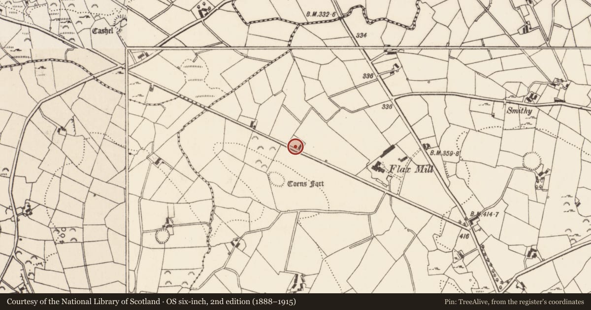 Ordnance Survey six-inch map, 2nd edition (1888–1915) covering the location of 15 McCartan's Rd, Ballymaginaghy, Newry, Mourne and Down, with a pin at the register's coordinates