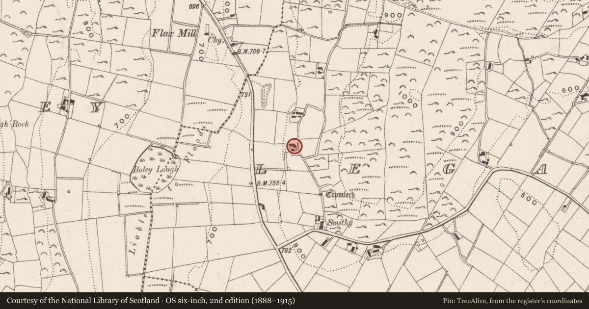 Ordnance Survey six-inch map, 2nd edition (1888–1915) covering the location of 39 Dolmen Road, Legananny, Newry, Mourne and Down, with a pin at the register's coordinates