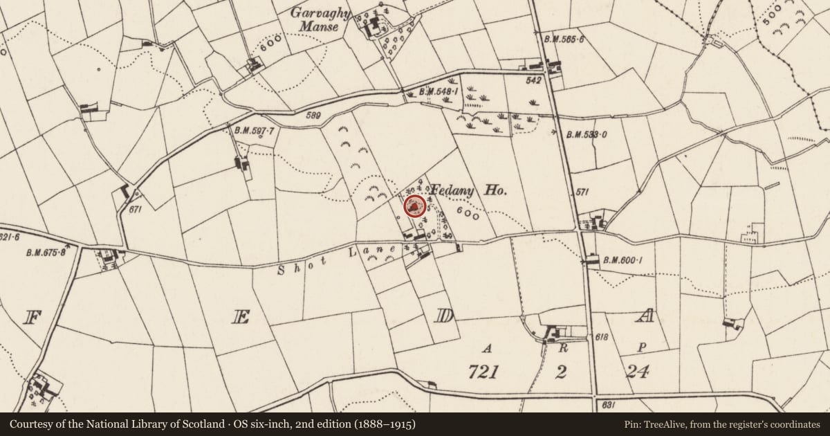 Ordnance Survey six-inch map, 2nd edition (1888–1915) covering the location of Fedany House, Armagh City, Banbridge and Craigavon, with a pin at the register's coordinates