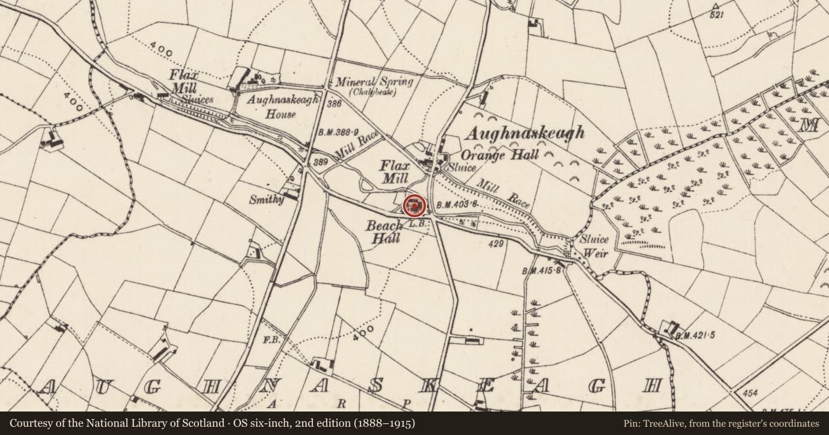 Ordnance Survey six-inch map, 2nd edition (1888–1915) covering the location of Beech Hall, Aughnaskeagh, Armagh City, Banbridge and Craigavon, with a pin at the register's coordinates