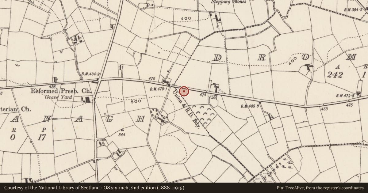 Ordnance Survey six-inch map, 2nd edition (1888–1915) covering the location of 82 Banbridge Road, Lisburn and Castlereagh, with a pin at the register's coordinates