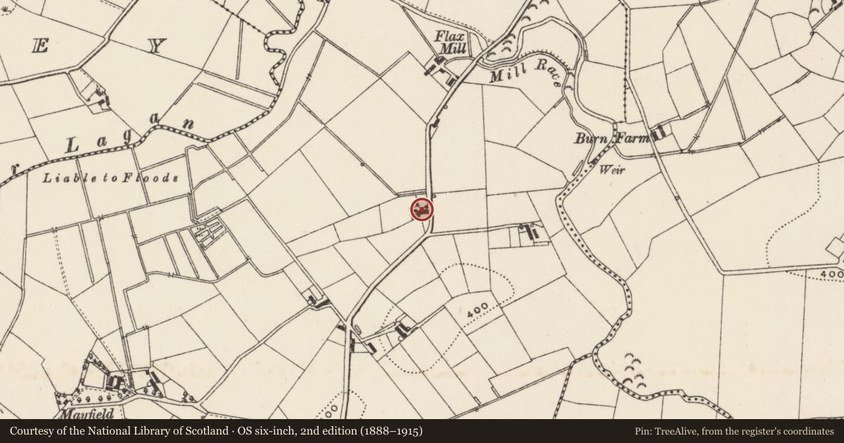 Ordnance Survey six-inch map, 2nd edition (1888–1915) covering the location of 23/25 Kinallen Road, Armagh City, Banbridge and Craigavon, with a pin at the register's coordinates