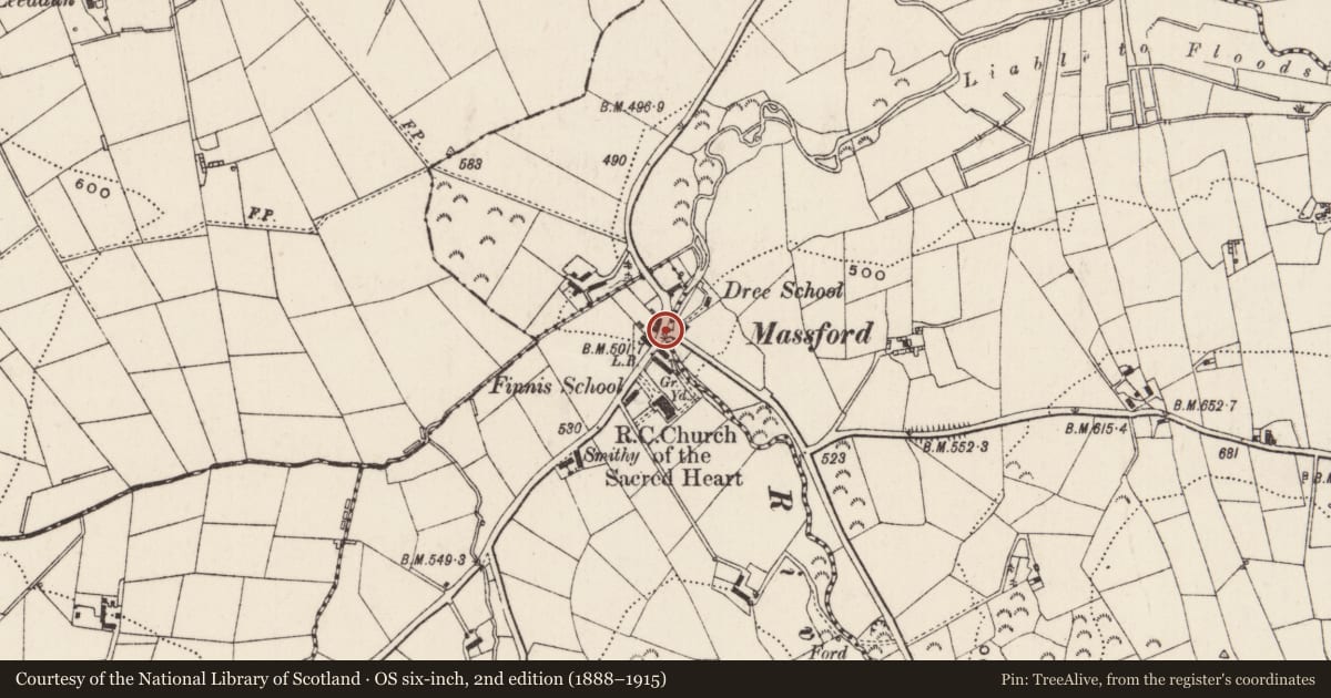 Ordnance Survey six-inch map, 2nd edition (1888–1915) covering the location of Bridge, Dree Finnis, Newry, Mourne and Down, with a pin at the register's coordinates