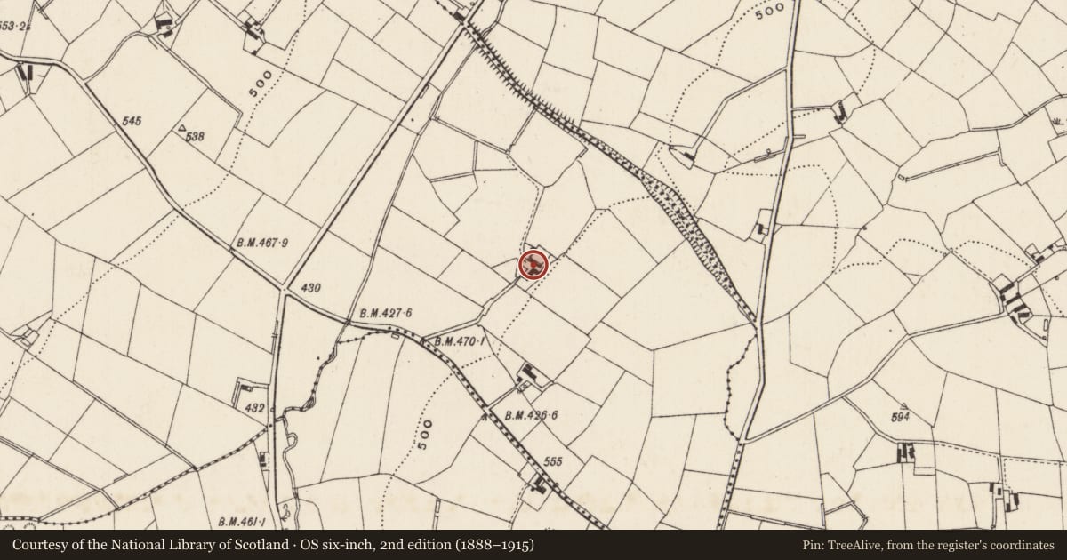 Ordnance Survey six-inch map, 2nd edition (1888–1915) covering the location of 80 Enagh Road, Carnew, Armagh City, Banbridge and Craigavon, with a pin at the register's coordinates