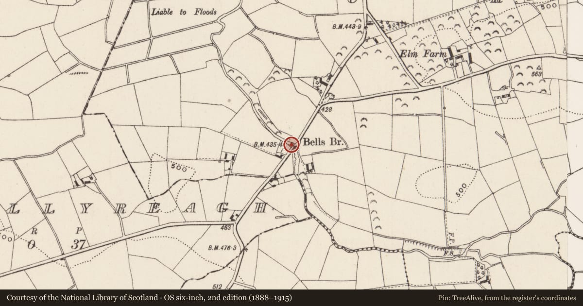Ordnance Survey six-inch map, 2nd edition (1888–1915) covering the location of Bells Bridge, Crossgar, Lisburn and Castlereagh, with a pin at the register's coordinates