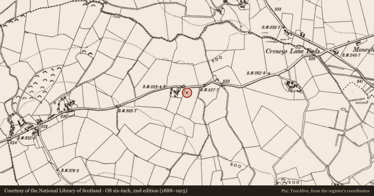 Ordnance Survey six-inch map, 2nd edition (1888–1915) covering the location of 97 Drin Road, Newry, Mourne and Down, with a pin at the register's coordinates