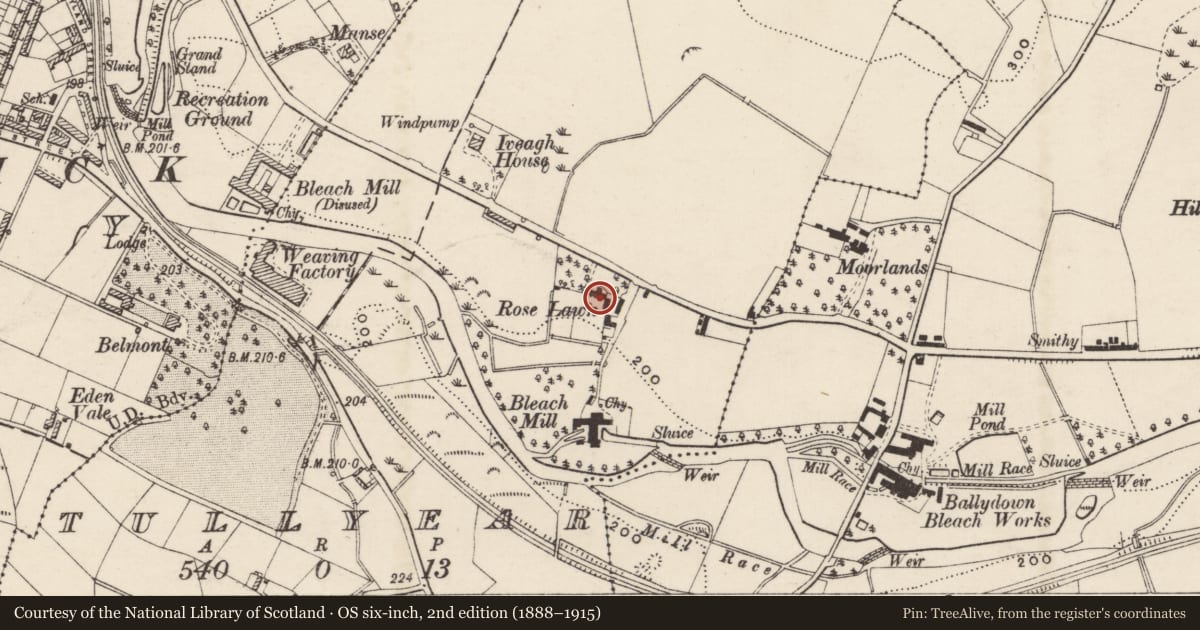 Ordnance Survey six-inch map, 2nd edition (1888–1915) covering the location of CHINAULEY, Armagh City, Banbridge and Craigavon, with a pin at the register's coordinates