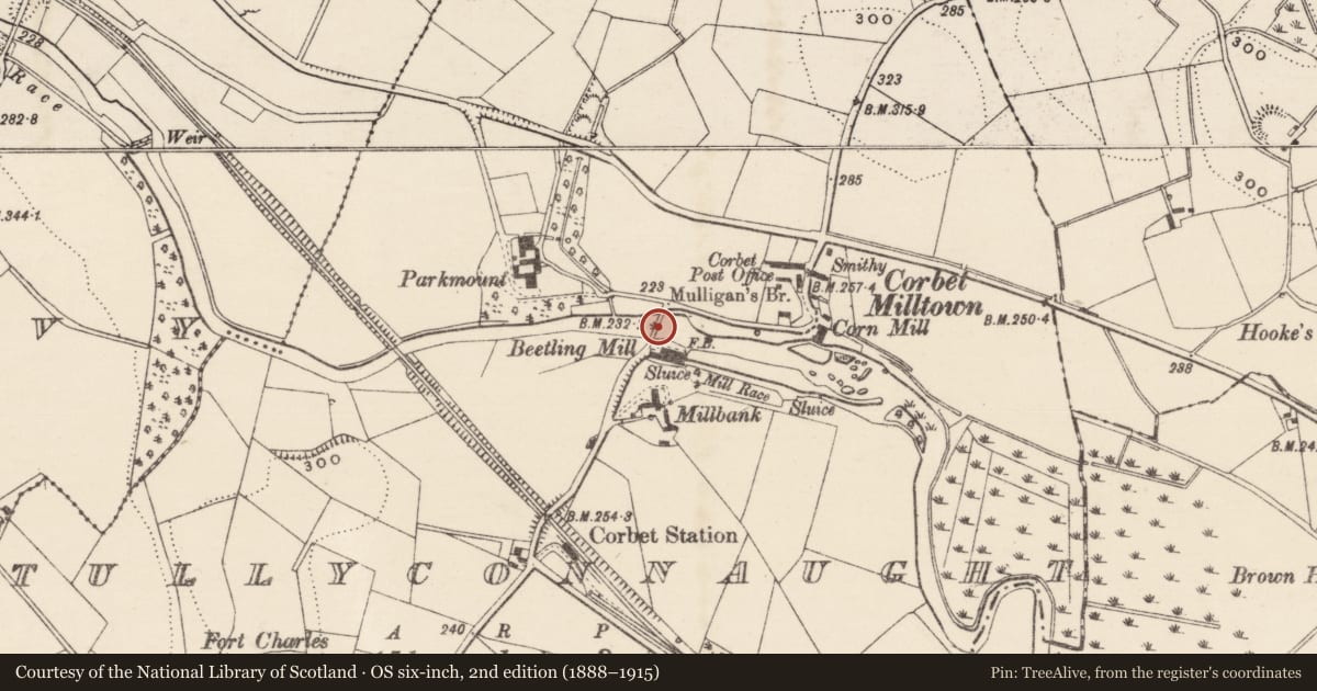 Ordnance Survey six-inch map, 2nd edition (1888–1915) covering the location of Mulligan's Bridge, Tullyconnaught, Armagh City, Banbridge and Craigavon, with a pin at the register's coordinates