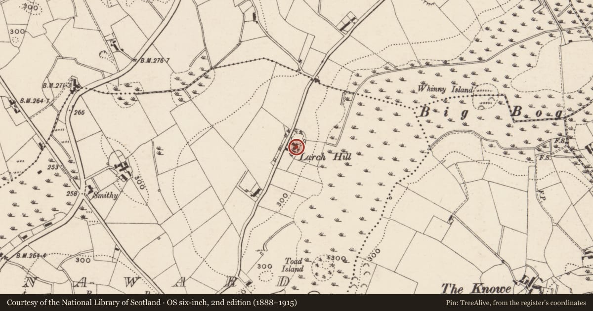 Ordnance Survey six-inch map, 2nd edition (1888–1915) covering the location of Larch Hill, Armagh City, Banbridge and Craigavon, with a pin at the register's coordinates