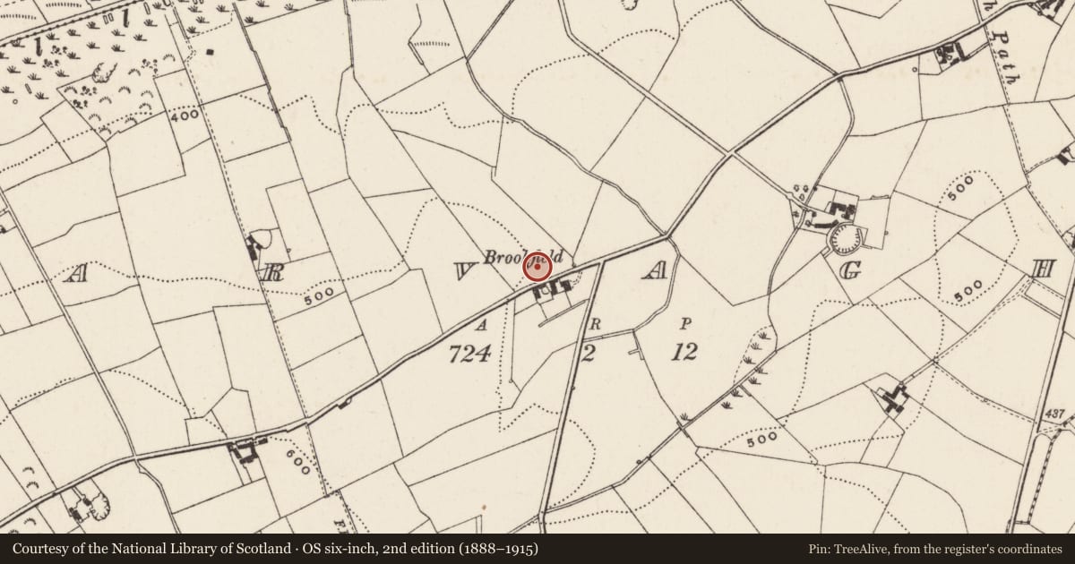Ordnance Survey six-inch map, 2nd edition (1888–1915) covering the location of Brookfield, Armagh City, Banbridge and Craigavon, with a pin at the register's coordinates