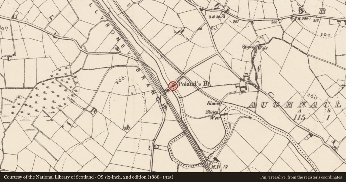 Ordnance Survey six-inch map, 2nd edition (1888–1915) covering the location of Poland's Bridge, Tullintanvally Tullyorior, Armagh City, Banbridge and Craigavon, with a pin at the register's coordinates